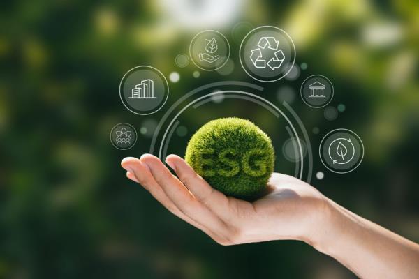 Compliance Is the Floor, Not the Ceiling: What Separates Leading Sustainability Functions from the Rest
