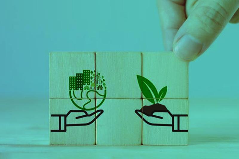 Mandatory Sustainability Reporting Is Now Reshaping Global Corporate Disclosure — Unevenly