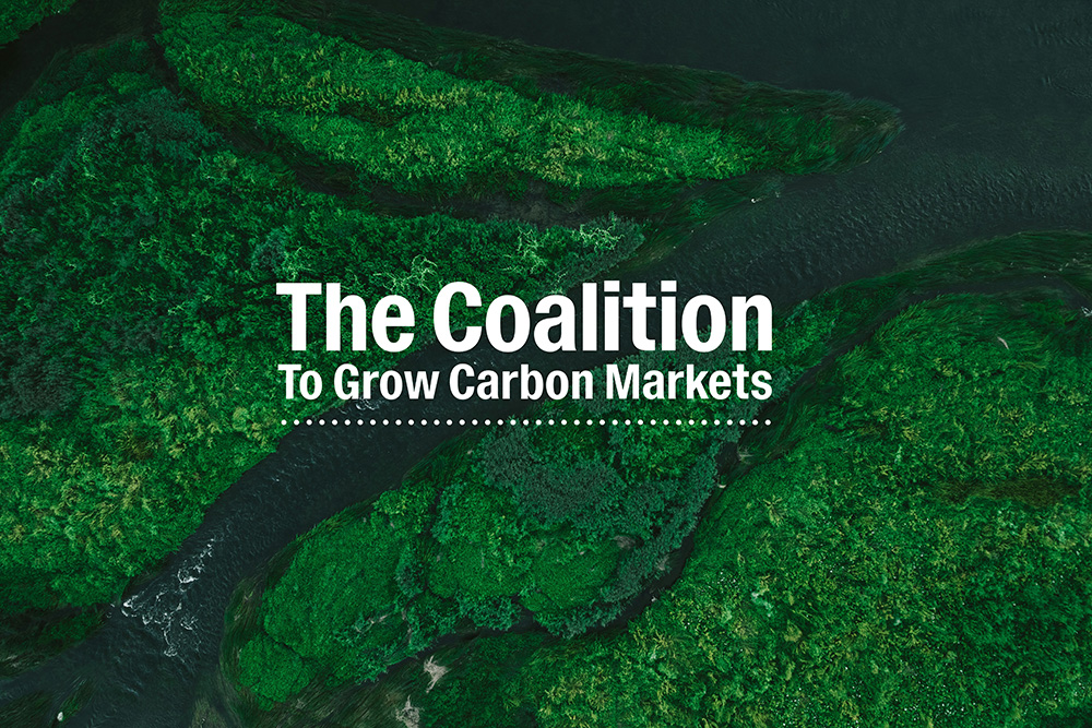 How the COP31 Carbon Markets Policy Playbook Could Reset Corporate Use of Carbon Credits