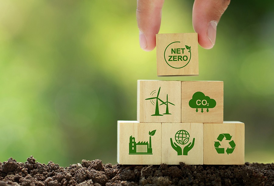 Net Zero Education Is Becoming a Core BSustainable Risk Lens, Not Just a CSR Add‑On