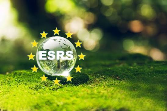 ESRS‑40a: Why Non‑EU Parent Groups Can No Longer Treat CSRD as “Someone Else’s Problem”