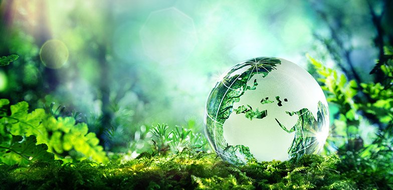 From Ambition to Architecture: Why Sustainability Teams Are Letting Compliance Drive the 2026 Agenda