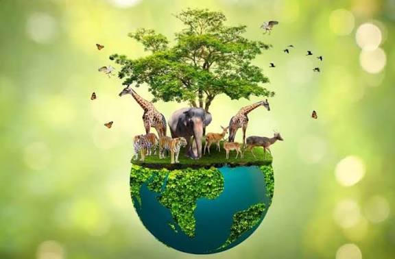 Nature Reporting Is Becoming Business Reporting: How to Navigate TNFD, ESRS E4, GRI 101 and Science-Based Targets for Nature