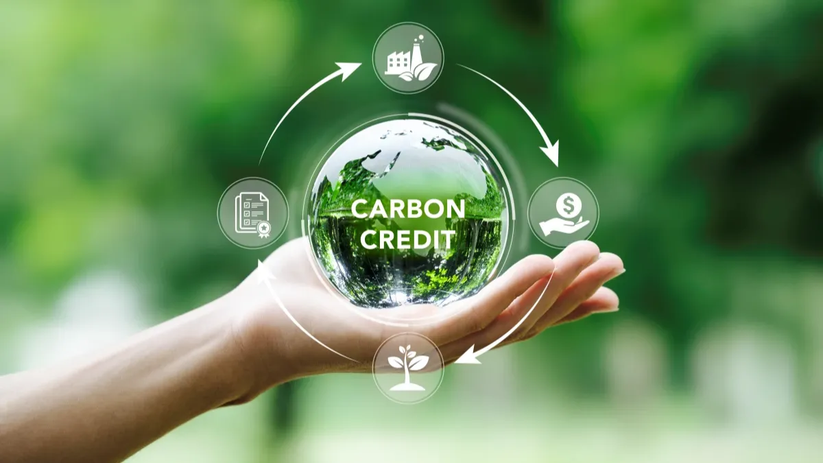 Article 6 Carbon Credits: The Due-Diligence Questions Buyers Cannot Afford to Skip