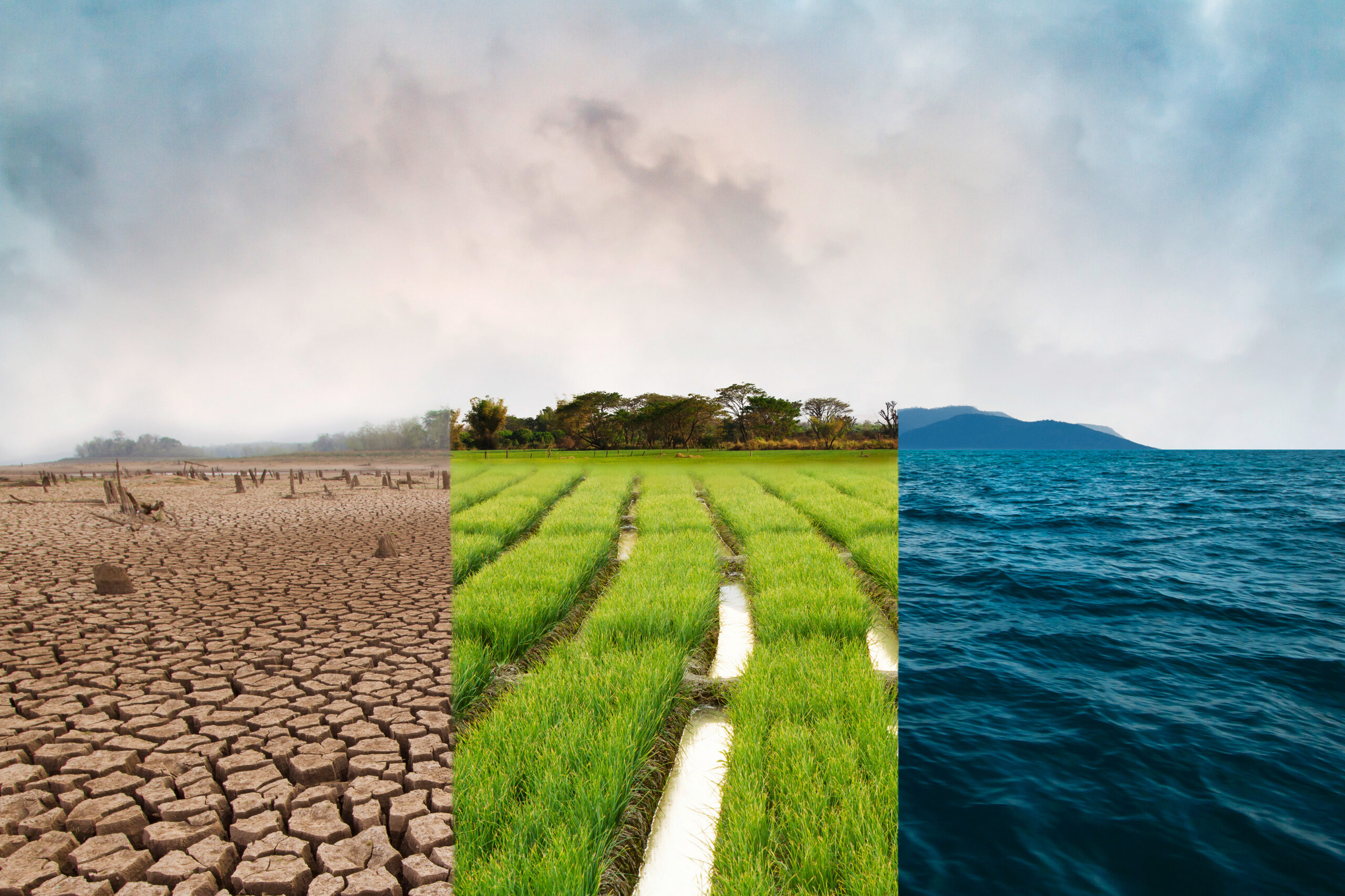 Climate Resilience Needs a Finance Plan: How Boards Can Fund Adaptation Before Disruption Forces Their Hand