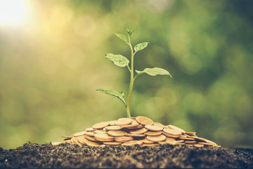 Nature Risk Is Becoming a Supply-Chain Finance Issue