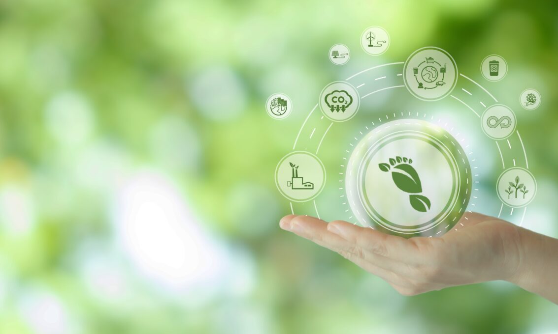 The Low-Carbon Supply Chain Is a Commercial Strategy, Not a Side Project
