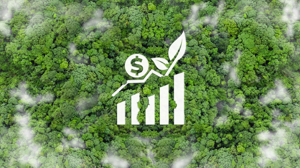  Environmental Assets Are Not Interchangeable: A Practical Guide to Scope 1, 2 and 3, Compliance Markets and Voluntary Carbon Markets