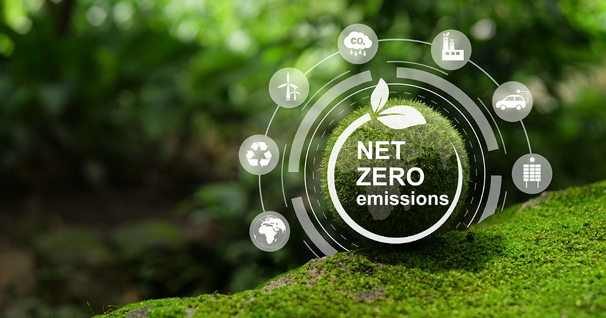 From Net-Zero Pledges to Investment-Grade Transition: The Credibility Test for Corporate Climate Action