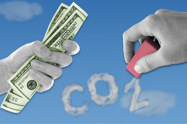 Carbon Removal Buyers Are Moving From Pledges to Procurement: What the New CDR Buyer Profiles Reveal