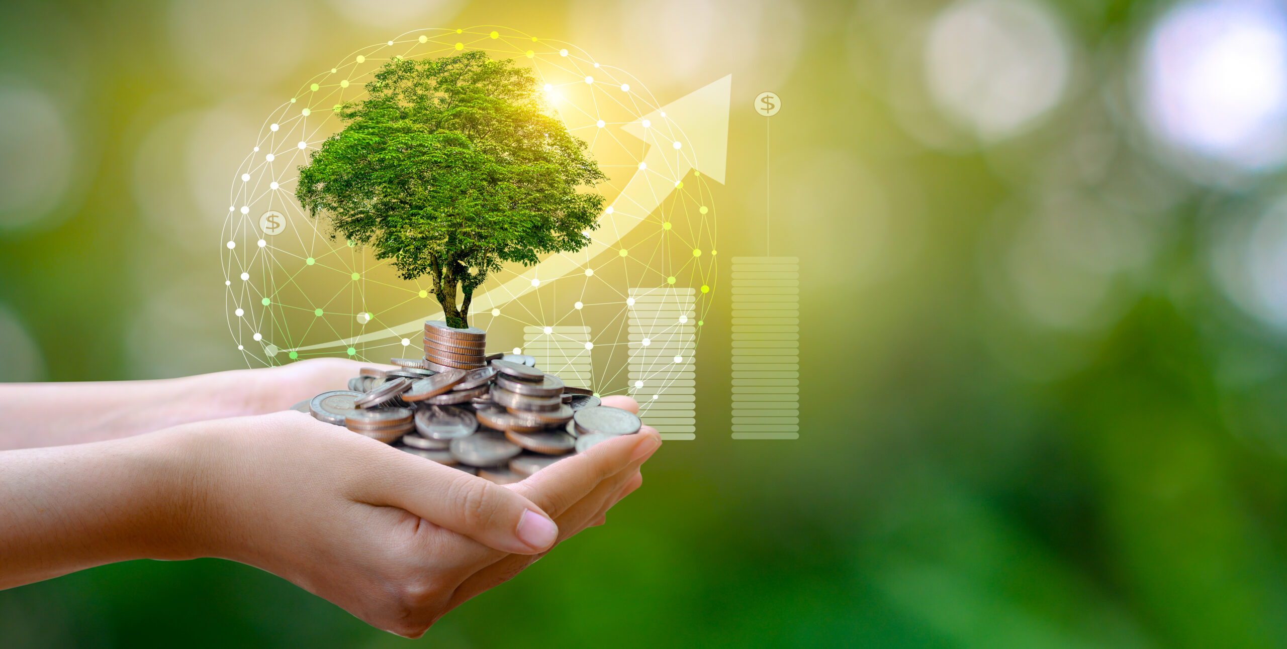 Sustainable funds reach $4.2 trillion: what the return to outperformance means for climate finance