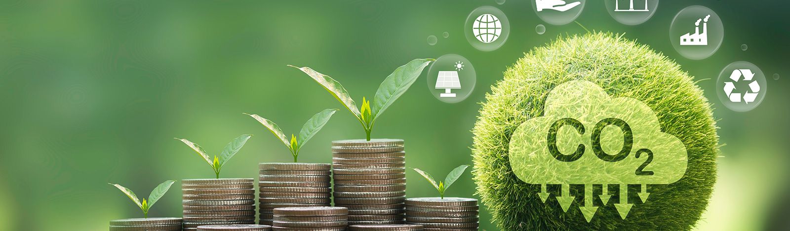 Carbon Markets Do Not Only Need Better Credits. They Need Buyers Willing to Buy Early