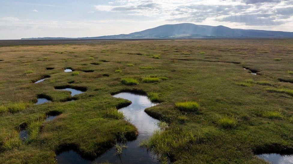 A Saltmarsh Is Not a Carbon Credit Until It Is Measured: What Scotland’s New Flux Tower Can—and Cannot—Prove
